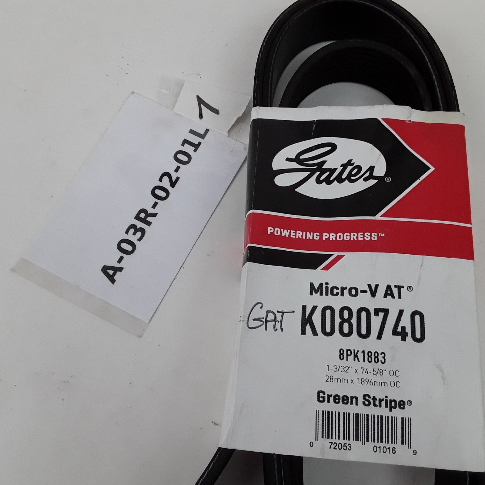 Micro-V Serpentine Drive Belt Fit Freightliner FL80 04-05 Blue Bird TC2000 02-04