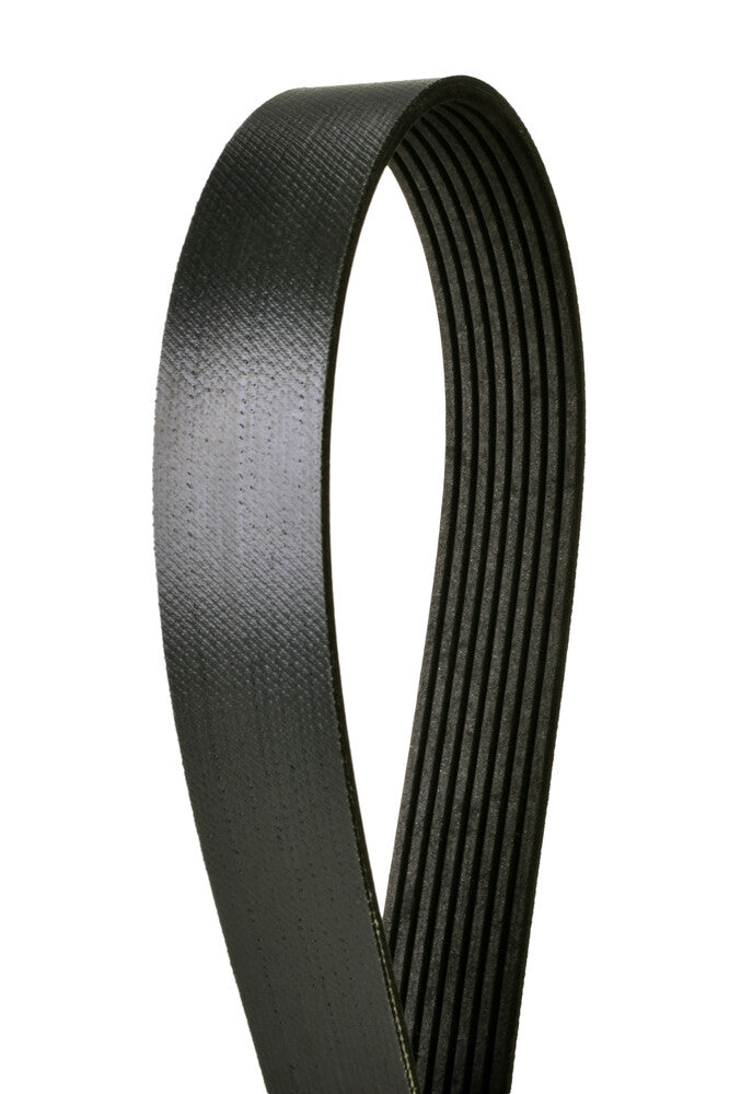Automotive Multi-V Belt Fits Ford F-250 F-350 F-450 F-550 Super Duty 2008-2010