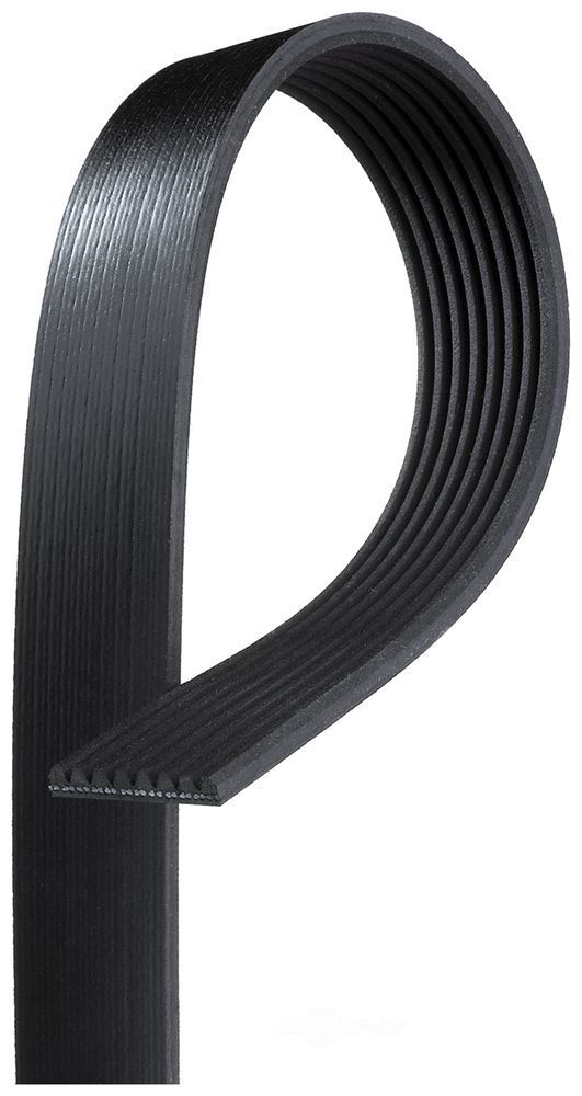 Micro-V Serpentine Drive Belt Fit Freightliner FL80 04-05 Blue Bird TC2000 02-04