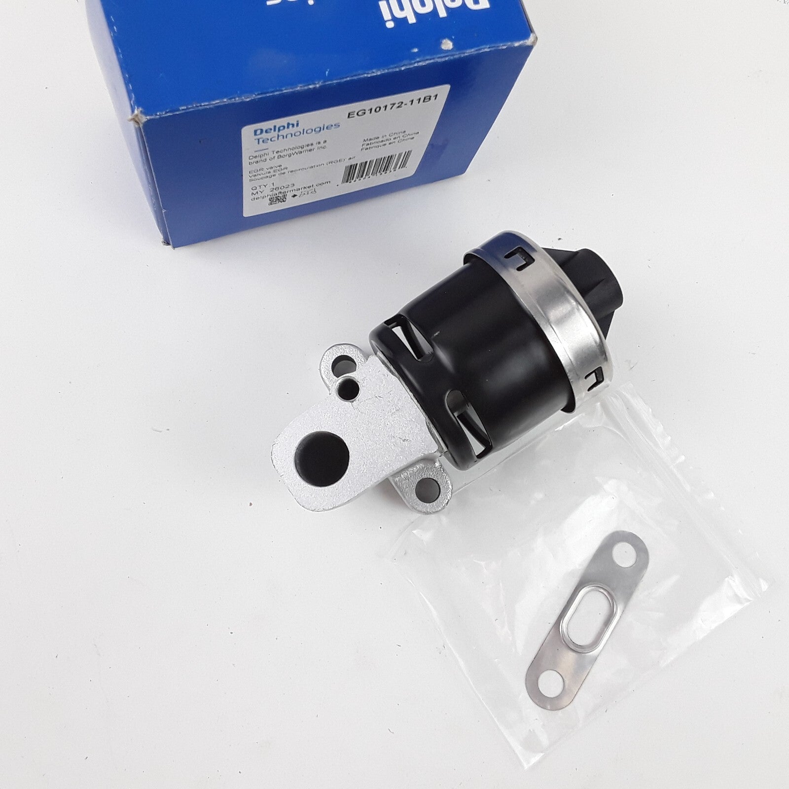 Delphi EG10172 EGR Valve For Pontiac Buick Chevrolet Saturn Oldsmobile 2000-2007
