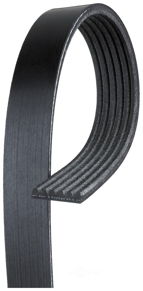 Serpentine Belt-Standard Fits Buick Rendezvous 2002-2005 Jaguar XF 2013, 2015