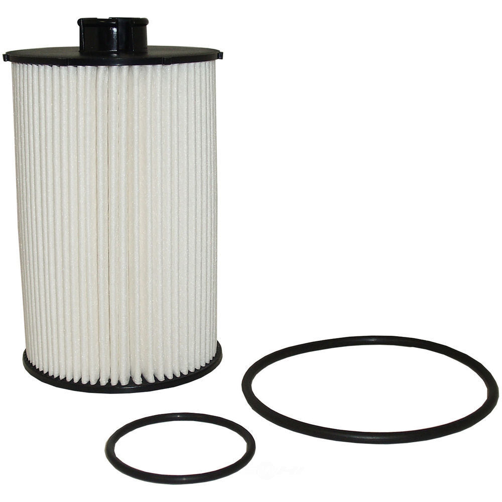Fuel Filter Element Fits International Harvester 4400LP 4300LP 3200 (2007-2019)
