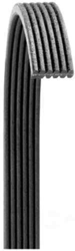 Dayco 6071012 Serpentine Belt Fits Volkswagen Phaeton Passat 2002 2003 2004-2006